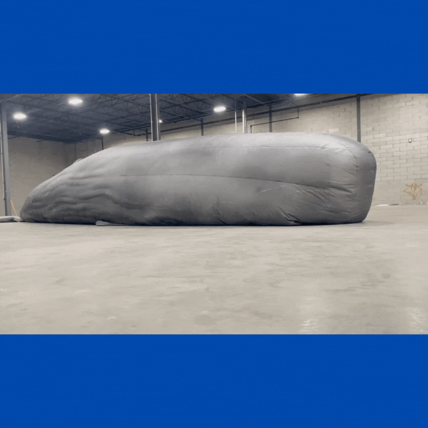 Big gray Sperm whale inflating  over blue background